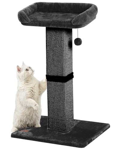 Large Sisal Cat Scratching Post with Plush Perch, Light Grey P593699