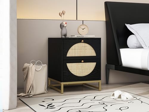 Black 2-Drawer Rattan Wood Nightstand I8215