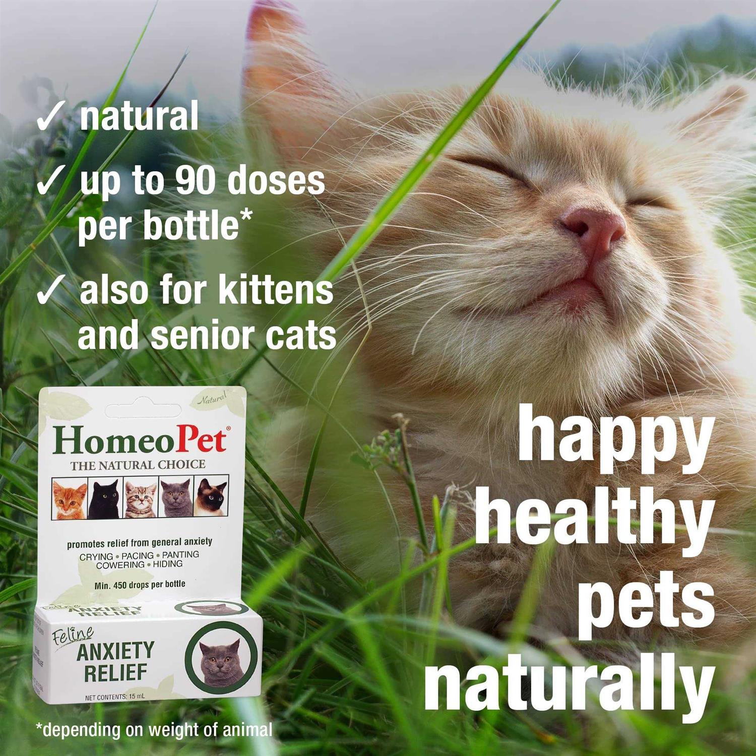 Feline Anxiety Relief O27878