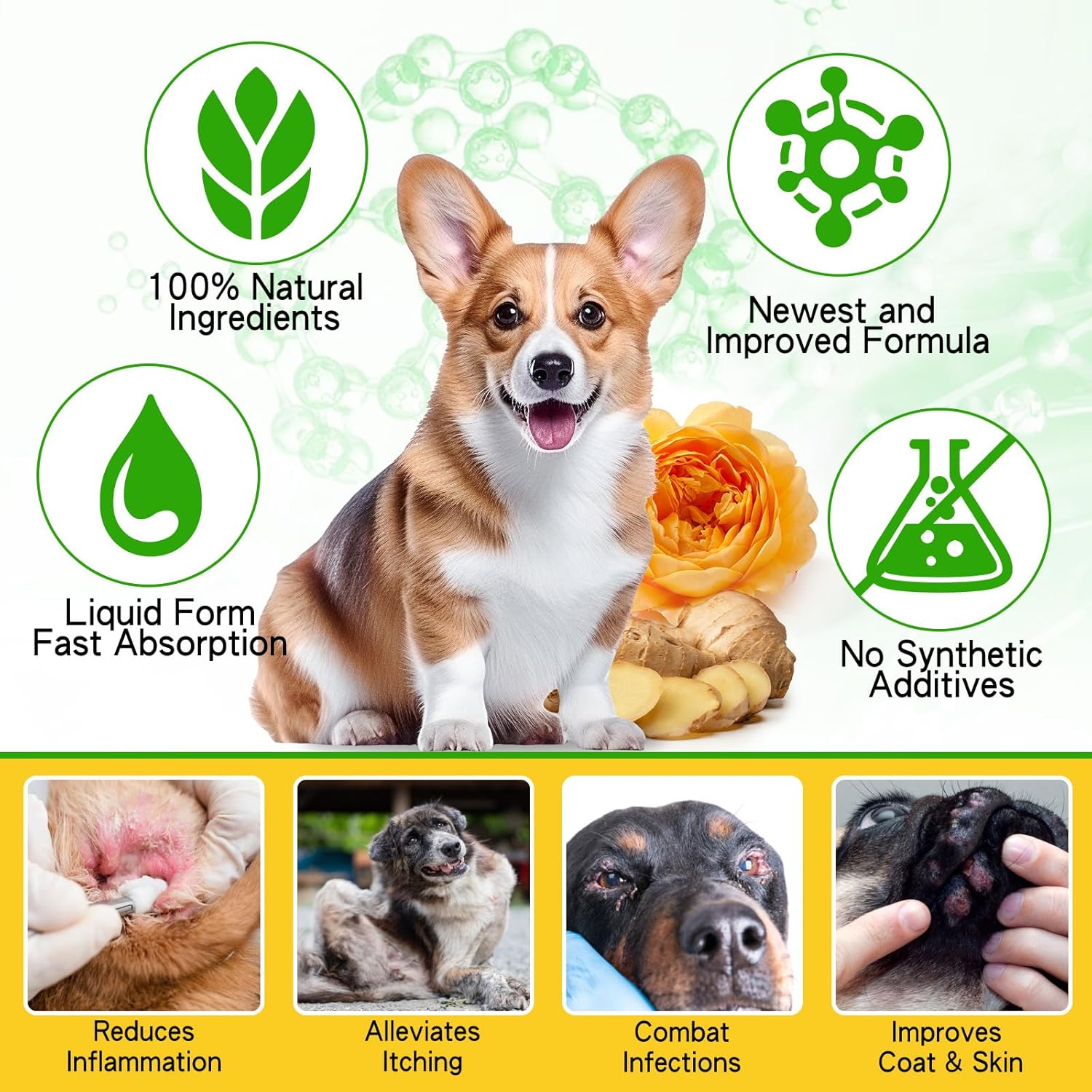 Dog Ear Infection Treatment - 2 fl oz X84023