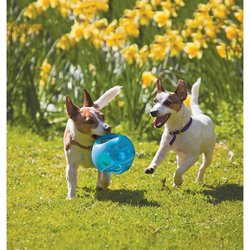 Jumbler Ball Dog Toy A903