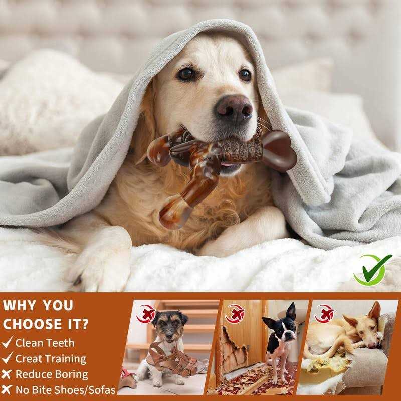 Real Bacon Flavored Tough Dog Bone Chew Toy W8287