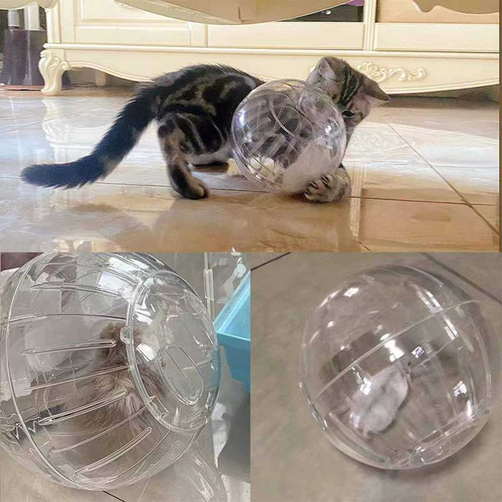 Transparent Hamster Exercise Ball R61293