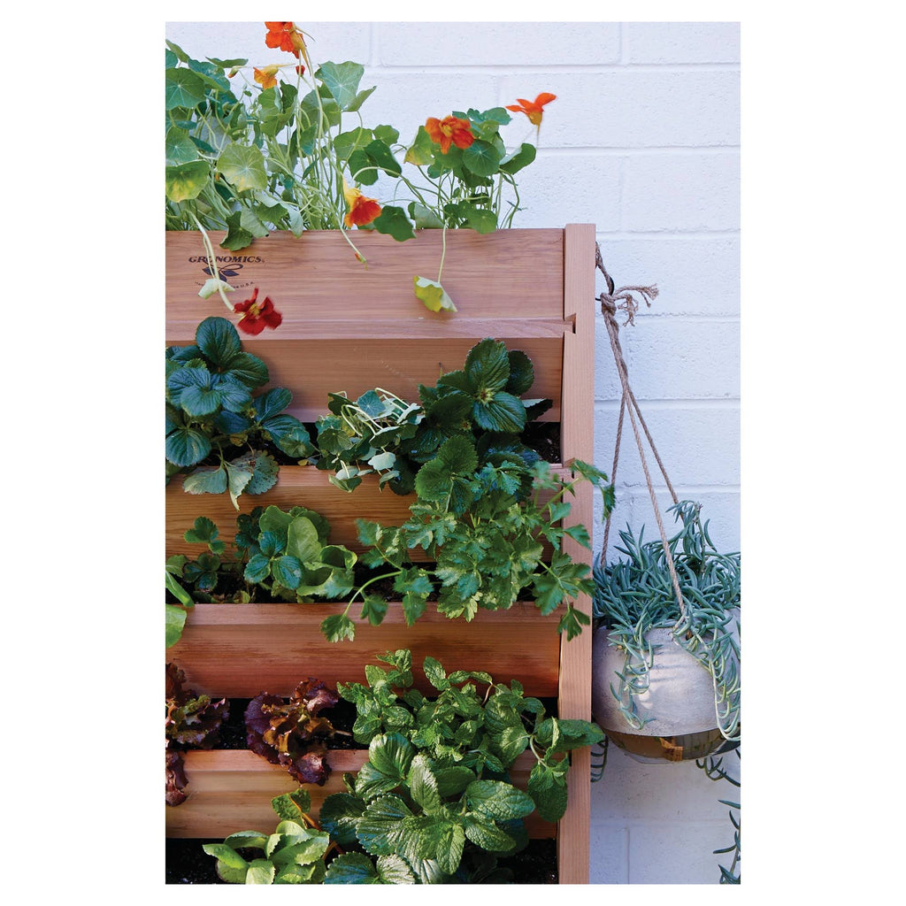 Vertical Garden I5348