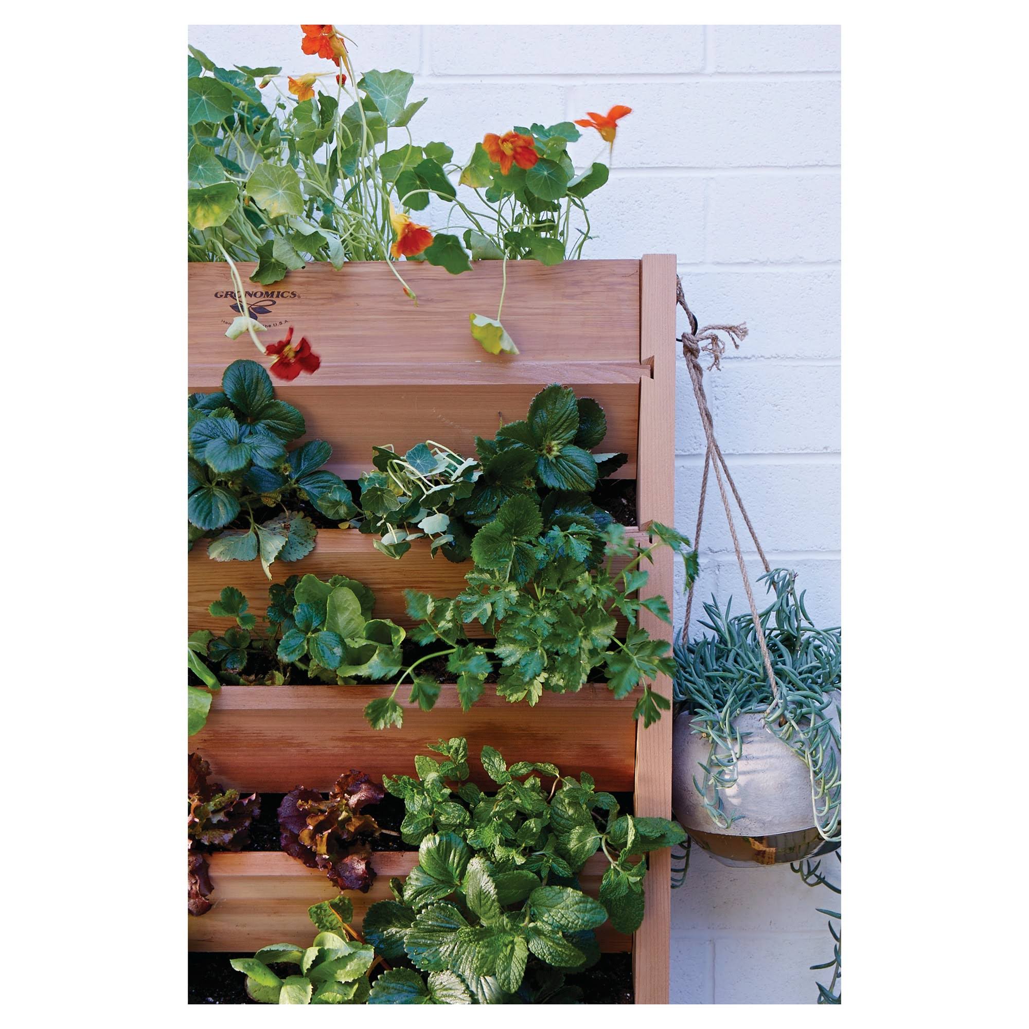 Vertical Garden I5348