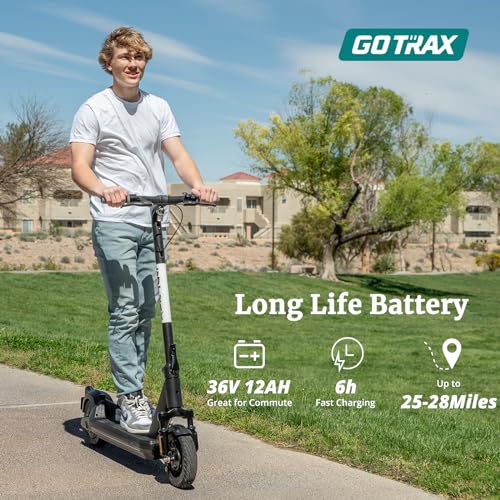 8.5" Solid Tire Electric Scooter X705376