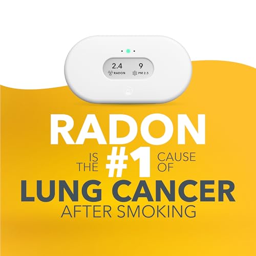 Battery Powered Radon & Air Quality Monitor E1110
