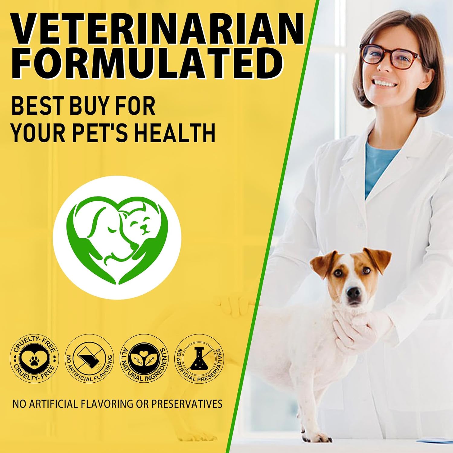 Dog Ear Infection Treatment - 2 fl oz X84023