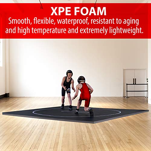 10' x 10' Wrestling Mat O955637