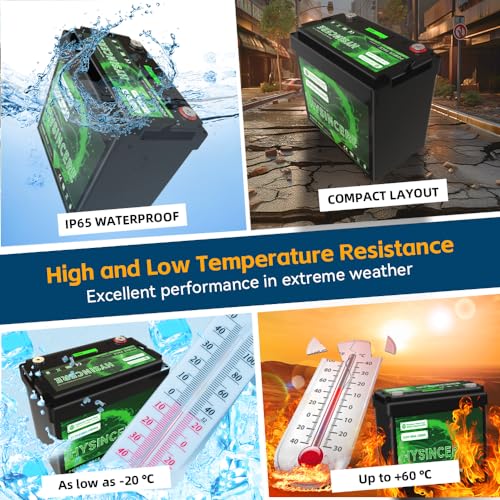 12V 100Ah LiFePO4 Lithium Battery with 100A BMS F303