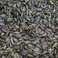 50 lbs Black Oil Sunflower Wild Bird Feed K732