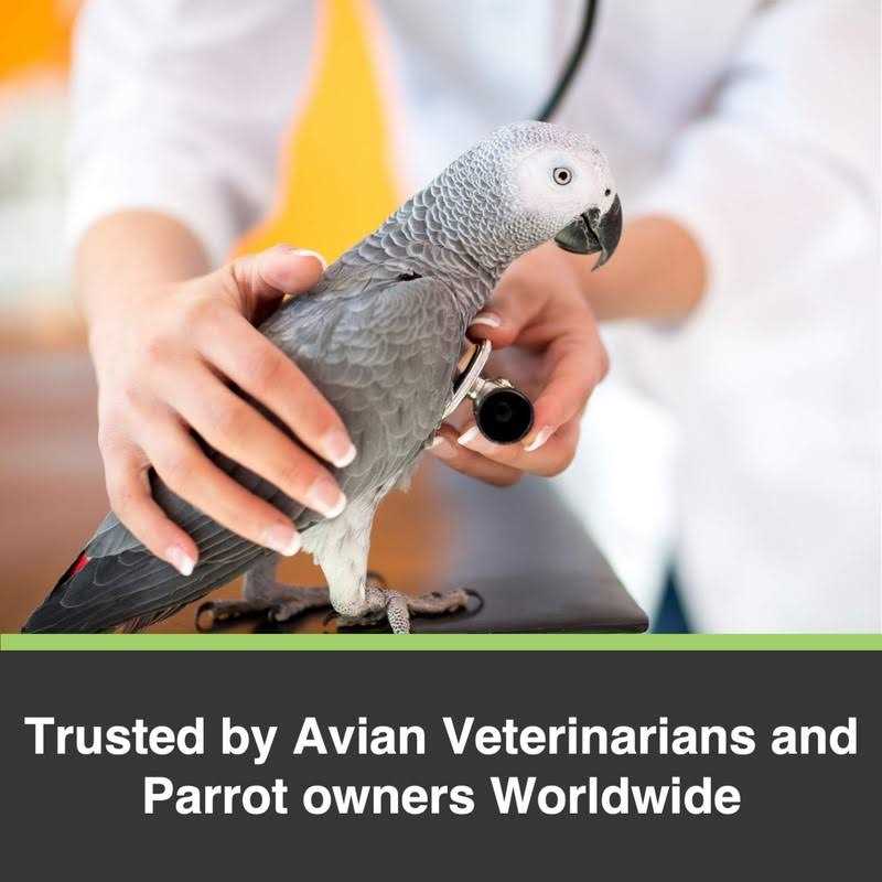 Large Parrot Bird Food D939196