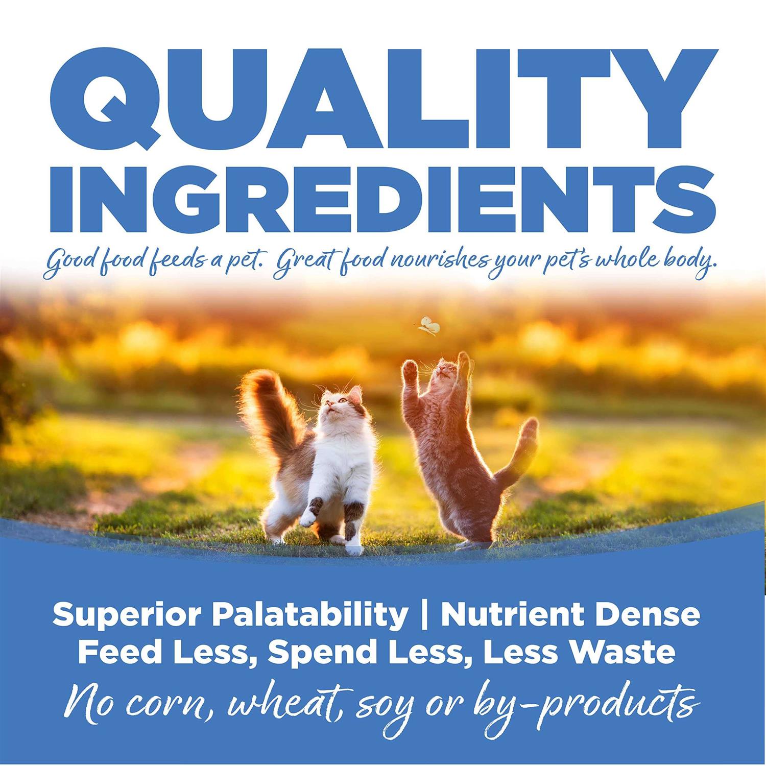 Chicken Salmon Liver Dry Cat & Kitten Food O1530