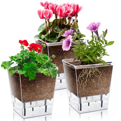 3 Pack 2.7 Inch Self Watering Planter Pot W284515