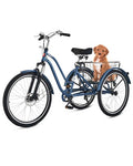 24 26 Inch 7 Speed Adult Tricycle with Front Suspension and Removable Basket R53424