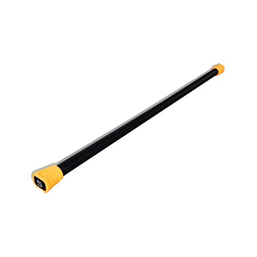 Weighted Body Bar Y49560