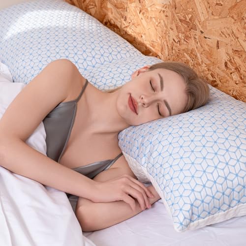 King Size Set of 2 Shredded Memory Foam Pillows R79518