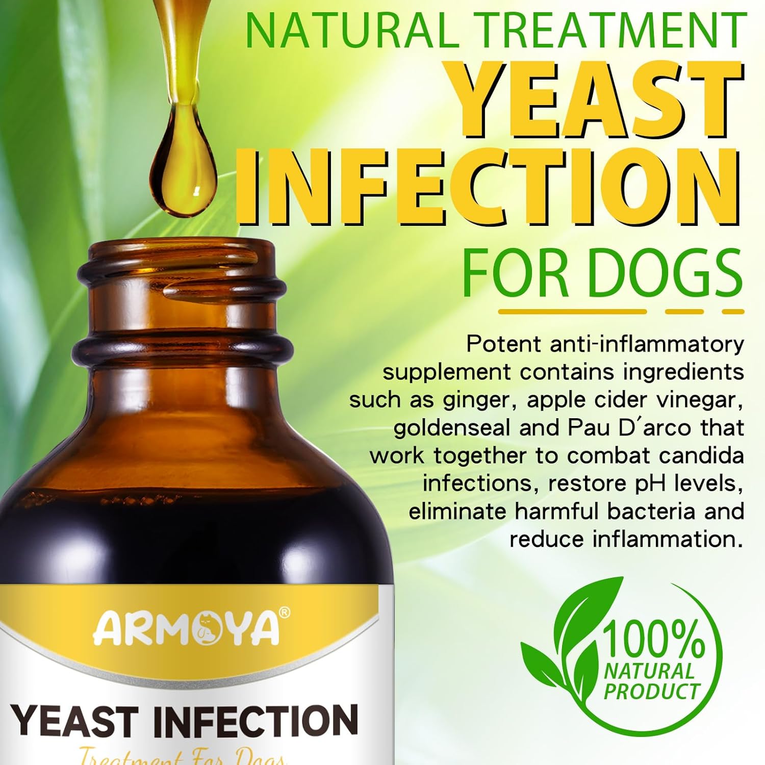 Dog Ear Infection Treatment - 2 fl oz X84023