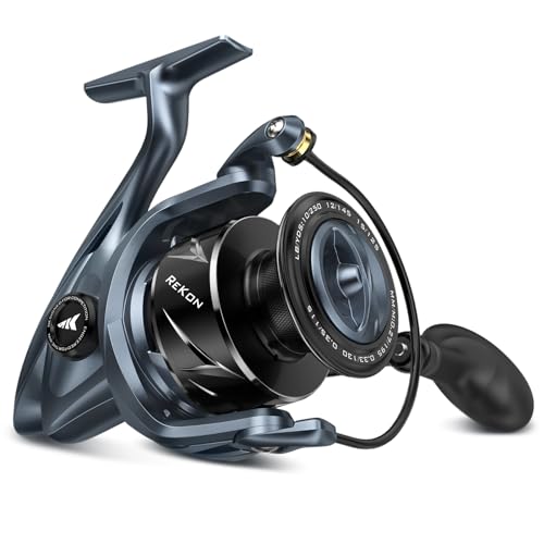 Saltwater Spinning Reel with 55LBs Max Drag B53305