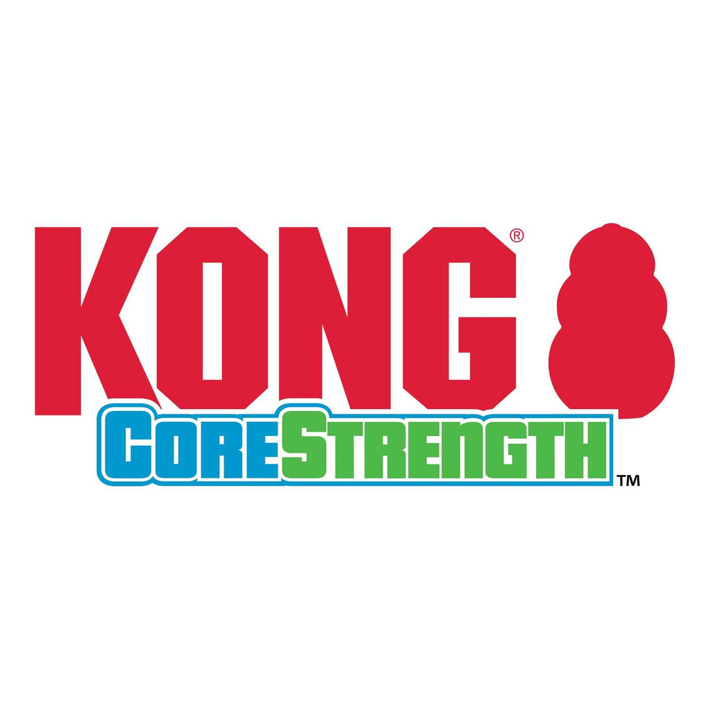 CoreStrength Bone Dog Toy Q508504