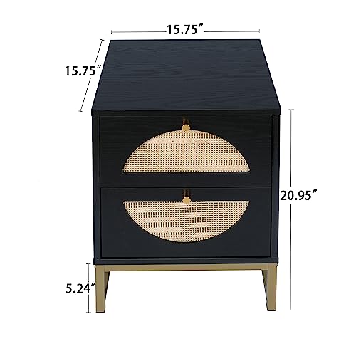 Black 2-Drawer Rattan Wood Nightstand I8215