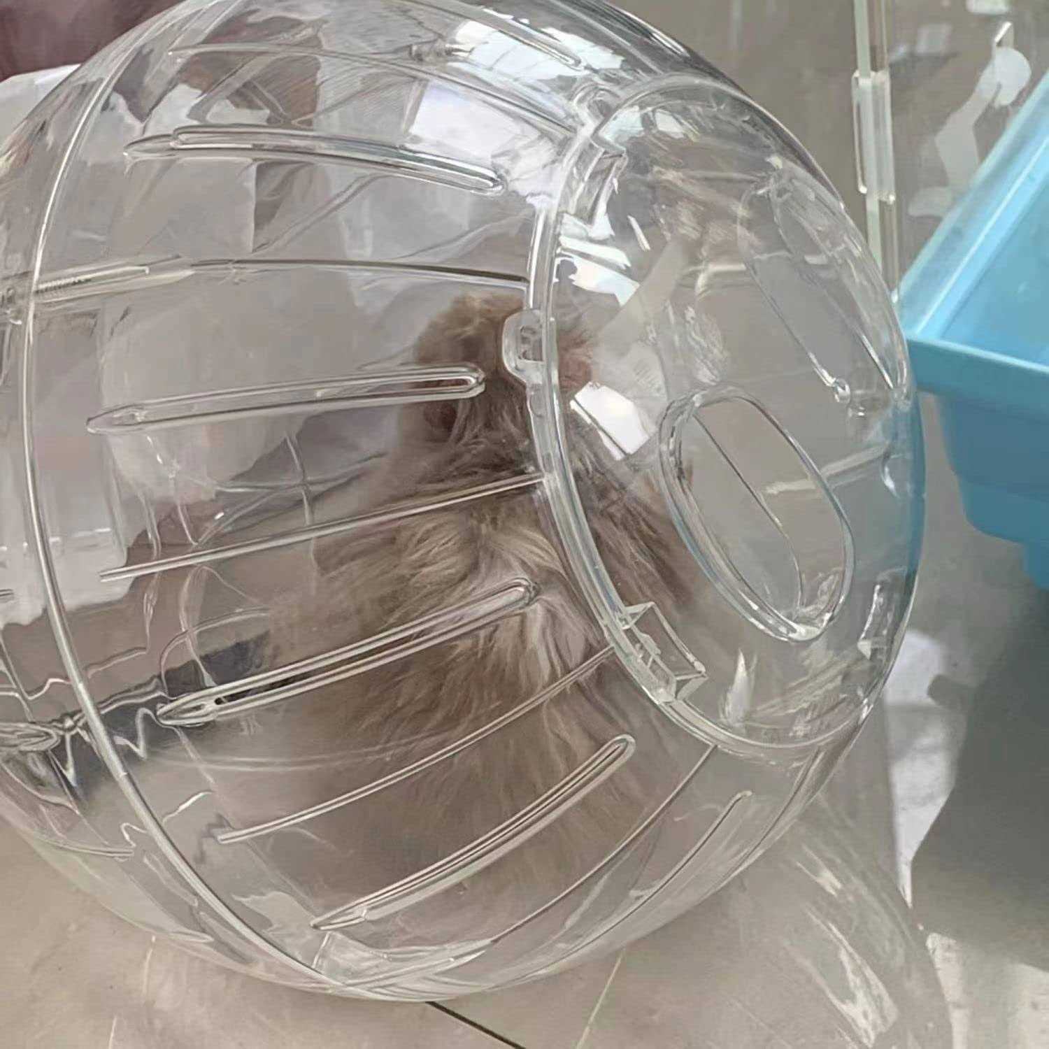 Transparent Hamster Exercise Ball R61293