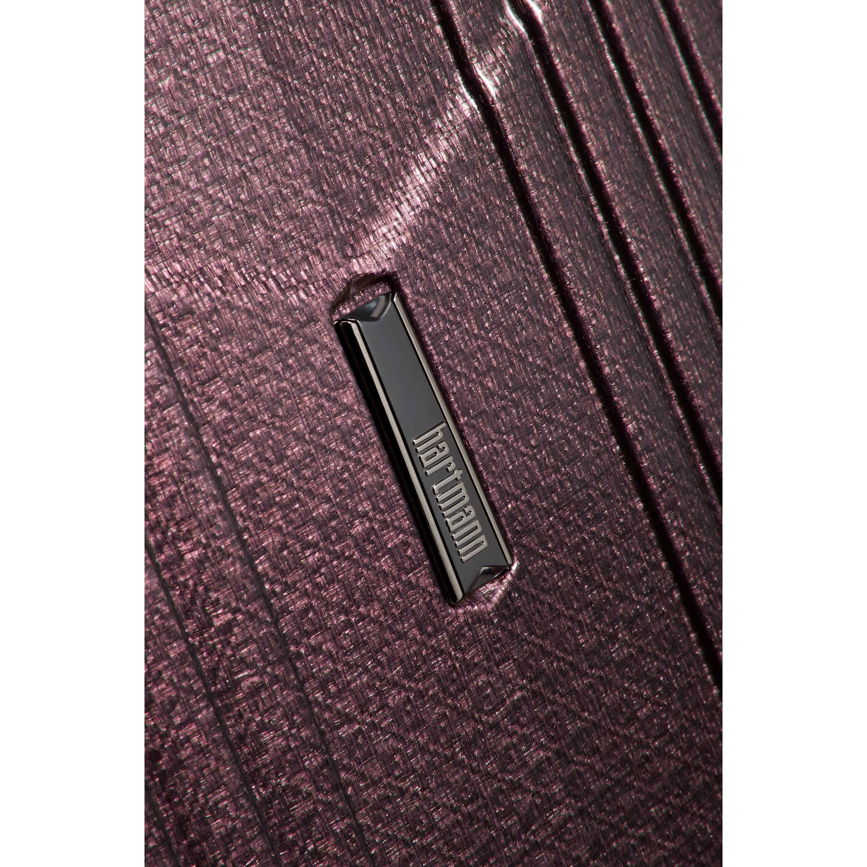 28x22 Spinner Suitcase B9709