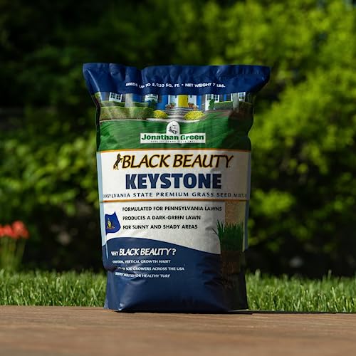 Black Beauty Grass Seed 7 lb V5787