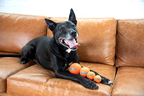 Dog Tennis Ball Launcher Z512350