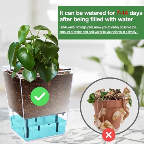 3 Pack 2.7 Inch Self Watering Planter Pot W284515