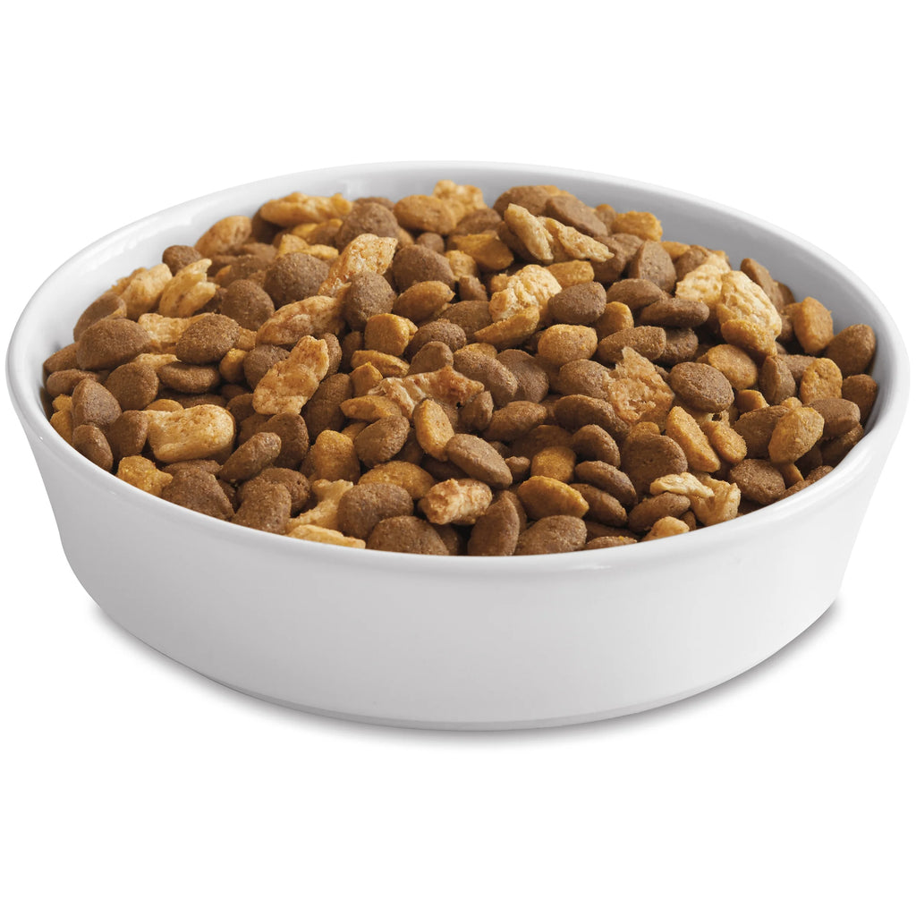 22 lb. Cat Food with Real Salmon F7502