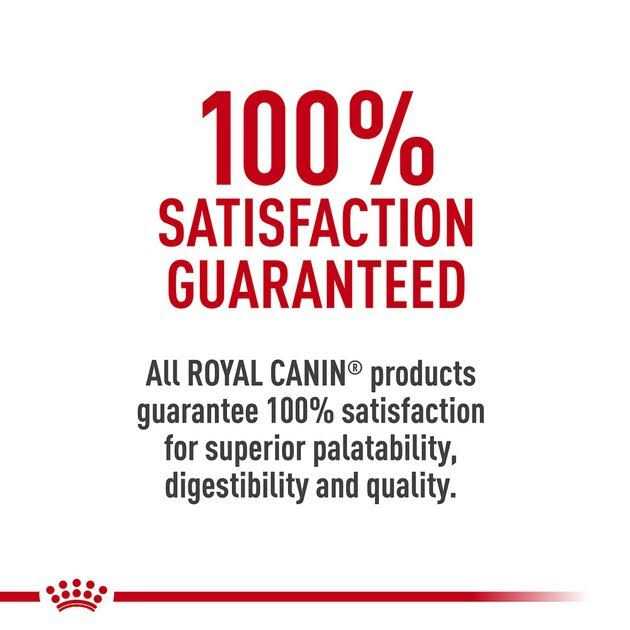 Veterinary Diet Early Cardiac Dry Dog Food Z560430