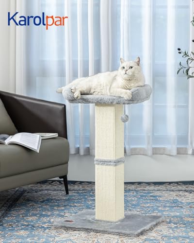 Large Sisal Cat Scratching Post with Plush Perch, Light Grey P593699