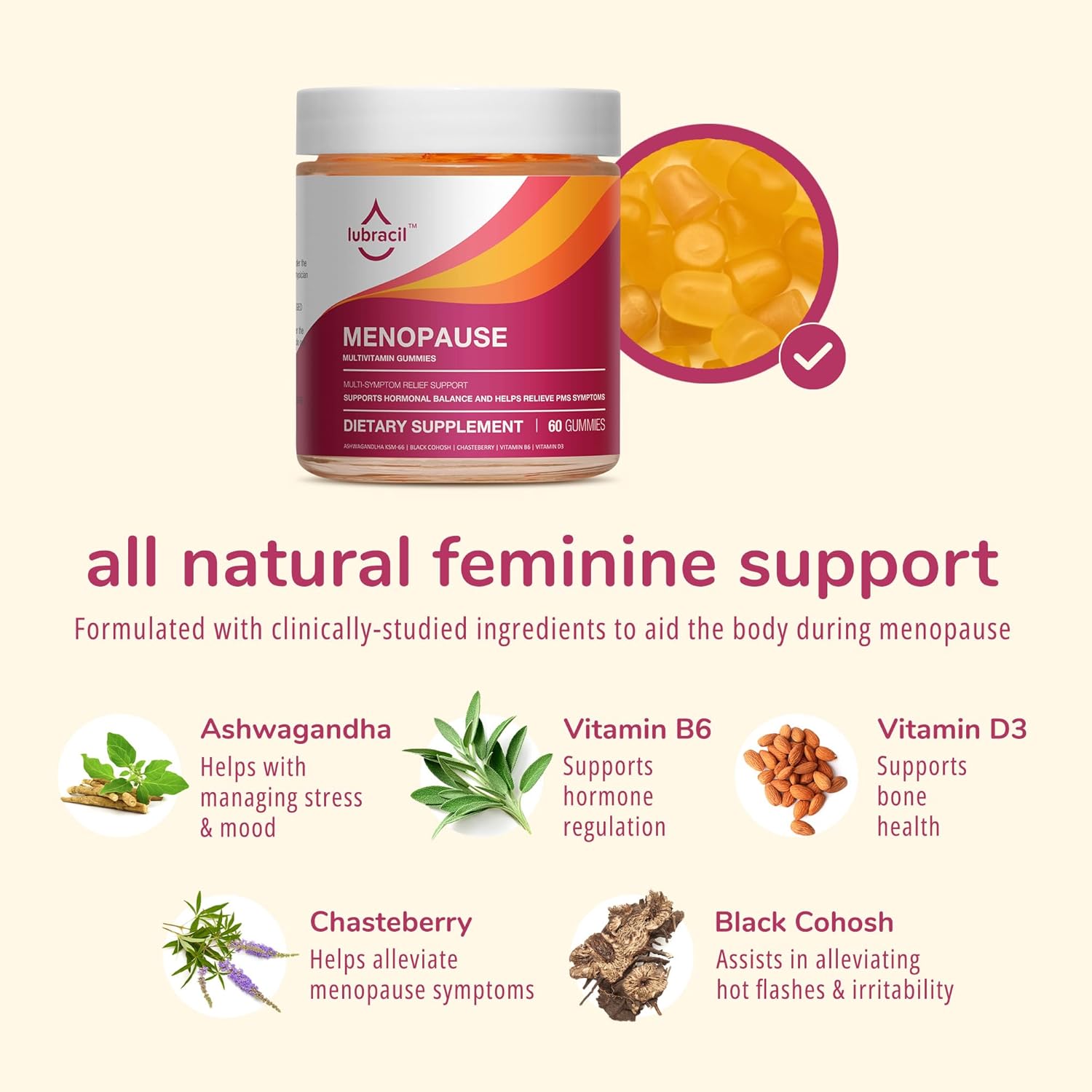Daily Support Menopause Gummies M532