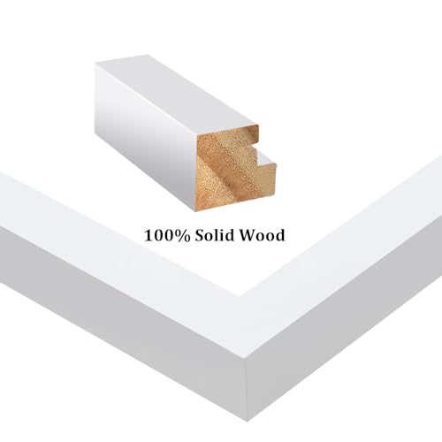 White 8x10 Picture Frames Set of 6 Solid Wood Plexiglass R4837
