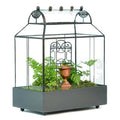 Barrel Roof Wardian Case Terrarium Container S33007