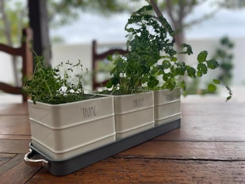 White Metal Herb Pot Planter Set with Tray C16216