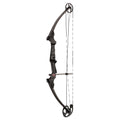Carbon RH Bow X5959