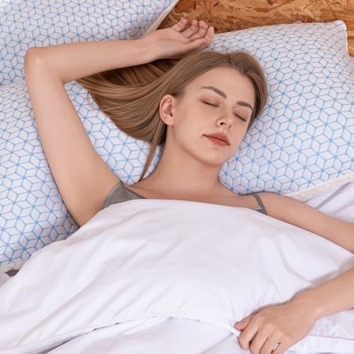 King Size Set of 2 Shredded Memory Foam Pillows R79518