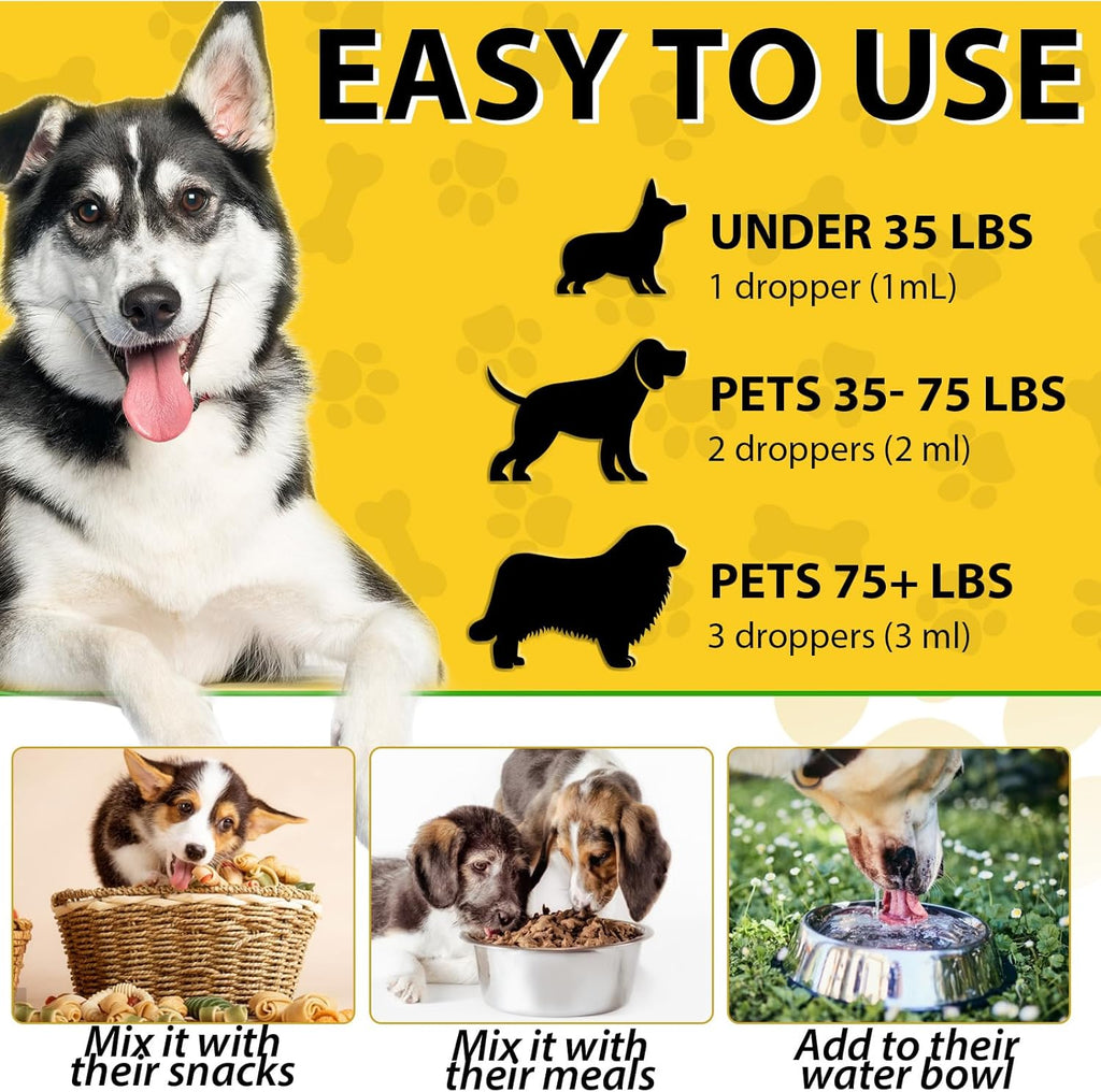 Dog Ear Infection Treatment - 2 fl oz X84023