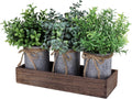 Set of 3 Mini Faux Potted Plants in Rustic Galvanized Metal Pots with Rectangle Wood Box U480