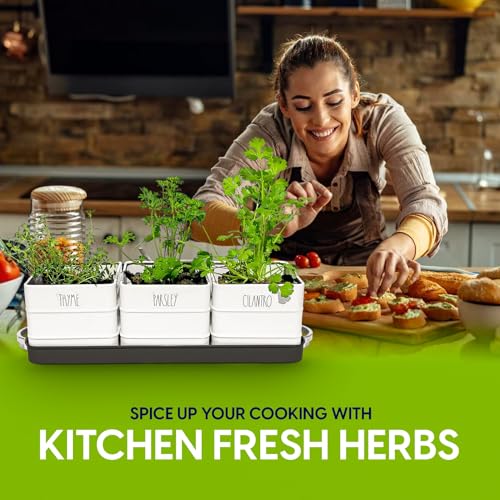 White Metal Herb Pot Planter Set with Tray C16216