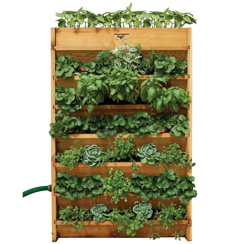 Vertical Garden I5348