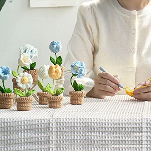 6 Pcs Crochet Kit (Blue) F194257