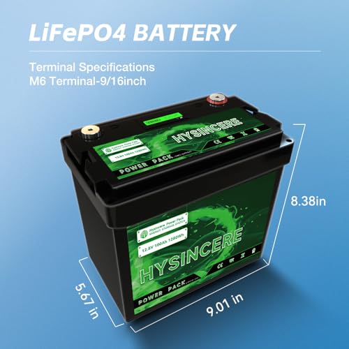 12V 100Ah LiFePO4 Lithium Battery with 100A BMS F303