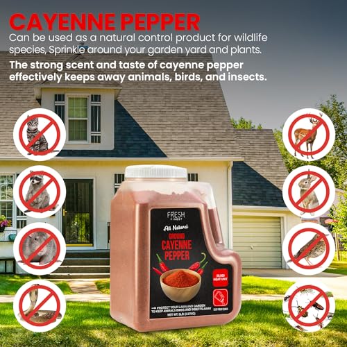 5 LB Cayenne Pepper Powder 50,000 SHU S2128