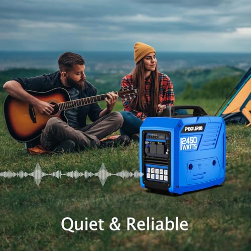 4000 Watt Gas Powered Inverter Generator S125338