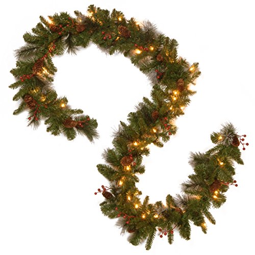 9 ft Pre-Lit Artificial Christmas Garland with 50 Warm White LED Lights O960460