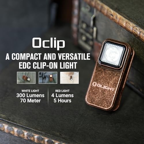 Rechargeable EDC Flashlight 300 Lumens Compact Pocket Clip Light with USB C Charging L741