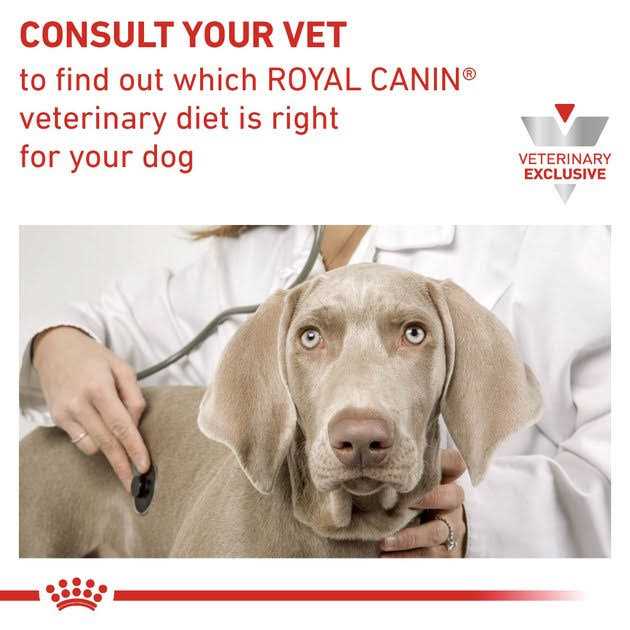 Veterinary Diet Adult Renal Support Early Consult Loaf in Sauce Canned Cat Food A999
